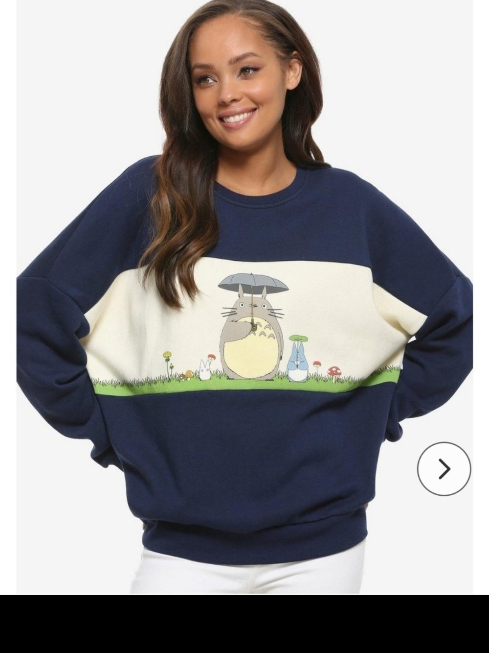 Studio Ghibli My Neighbor Totoro Panel Women's Crewneck size 2X